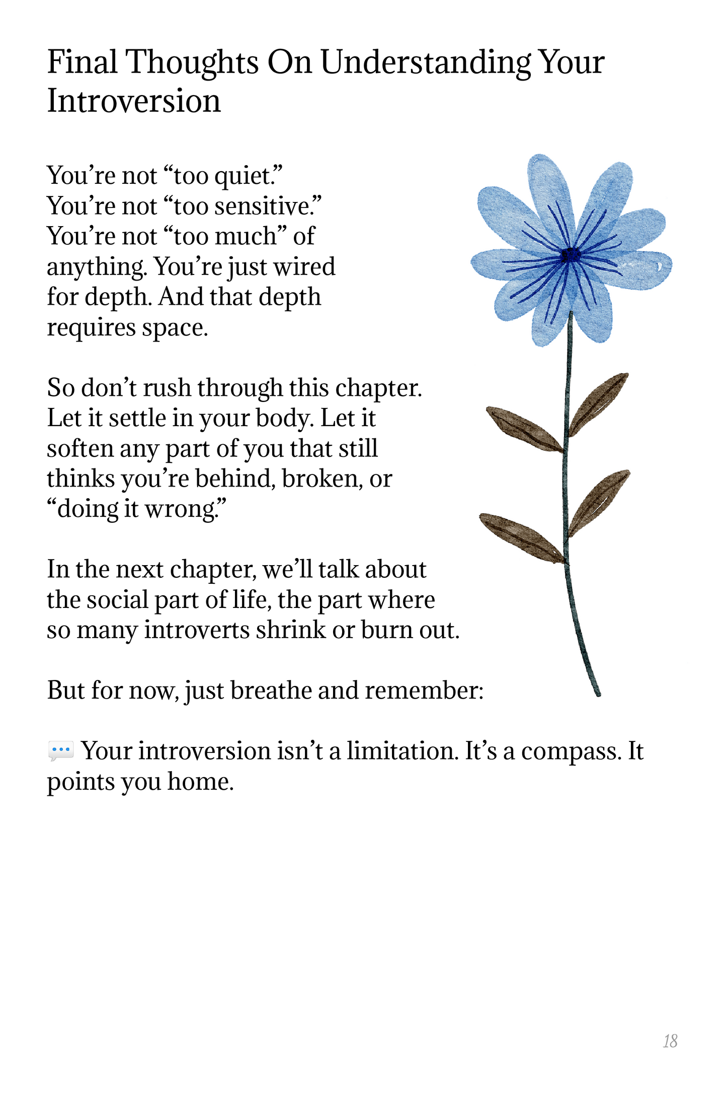 Introvert's Guide Workbook | Women's Self-Care, Peace & Boundaries