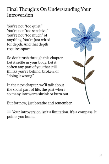 Introvert's Guide Workbook | Women's Self-Care, Peace & Boundaries