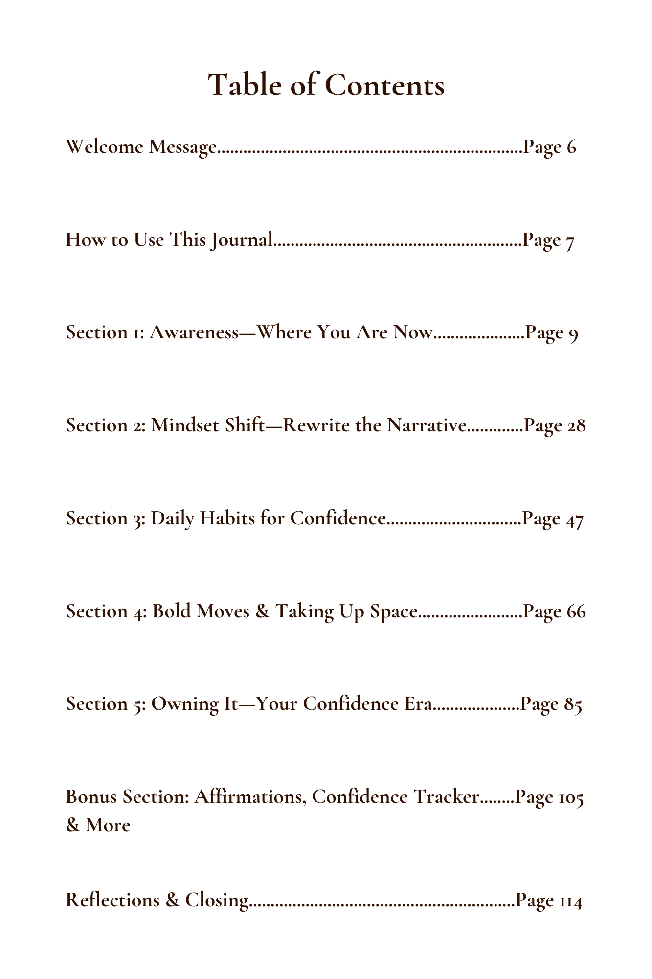 Table of contents for a journal with section titles and page numbers.